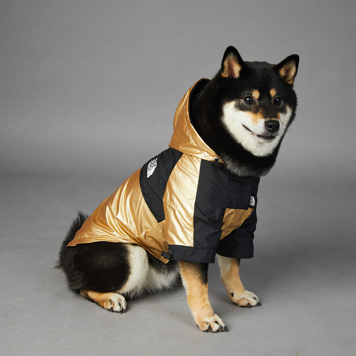 Detalle del chubasquero para perro, tejido dorado y negro